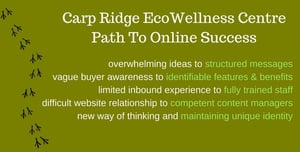 ecowellnes path to online success