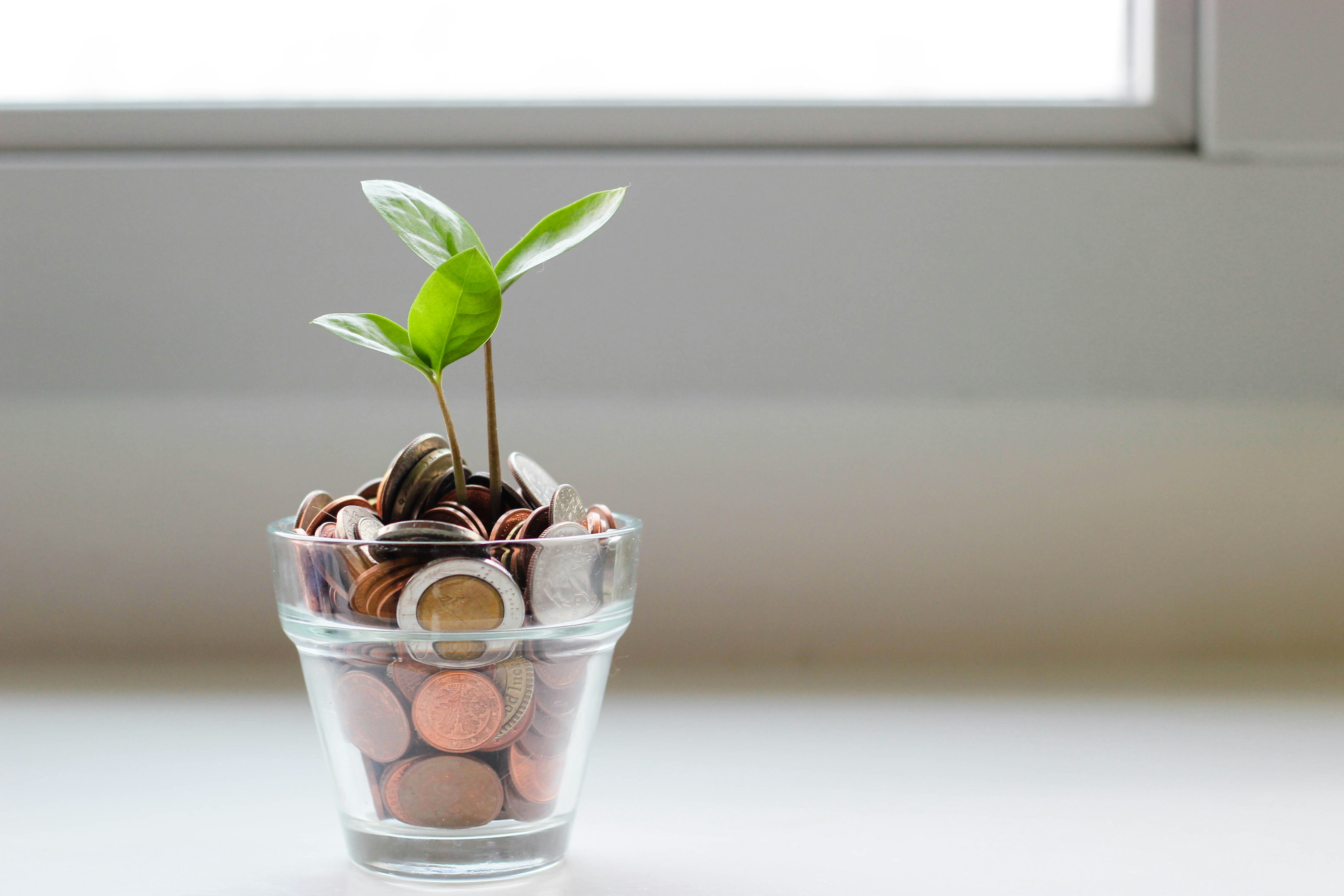 What Can You Do Right Now to Increase Revenue and Sales Growth?